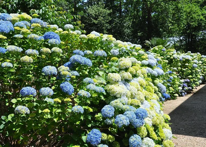 Chambres D'hotes Nere Chocoa Maison d'hôtes Biarritz
